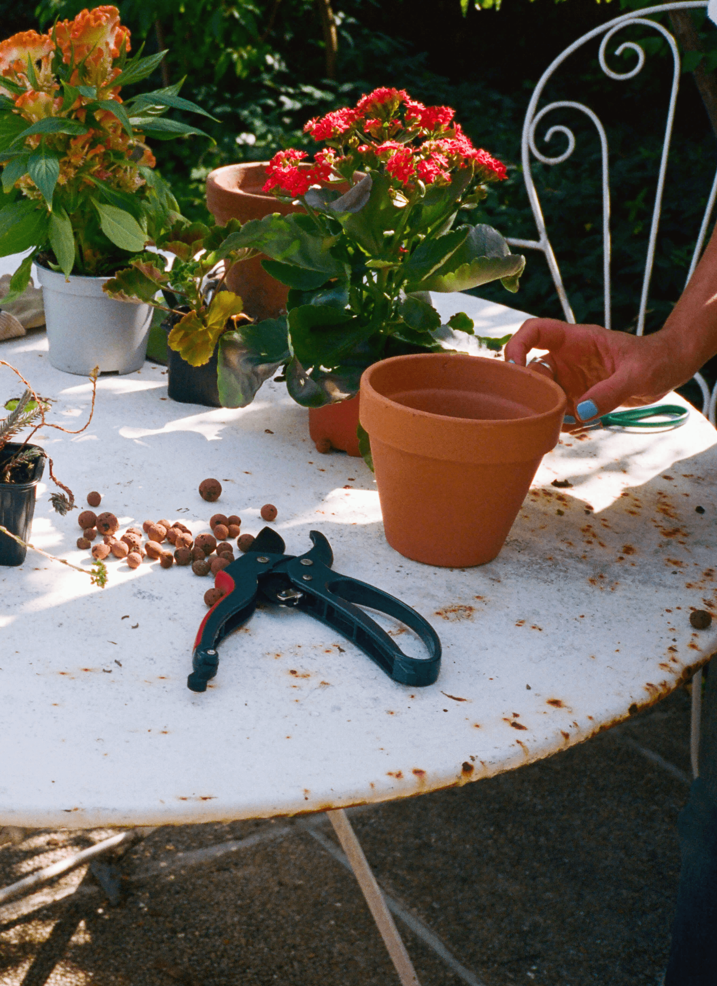 Leslie David takes care of a pot of plant in her studio which are covered with a full collection of plants in the room. And there are some mushroom-shaped wooden decorations on the table.