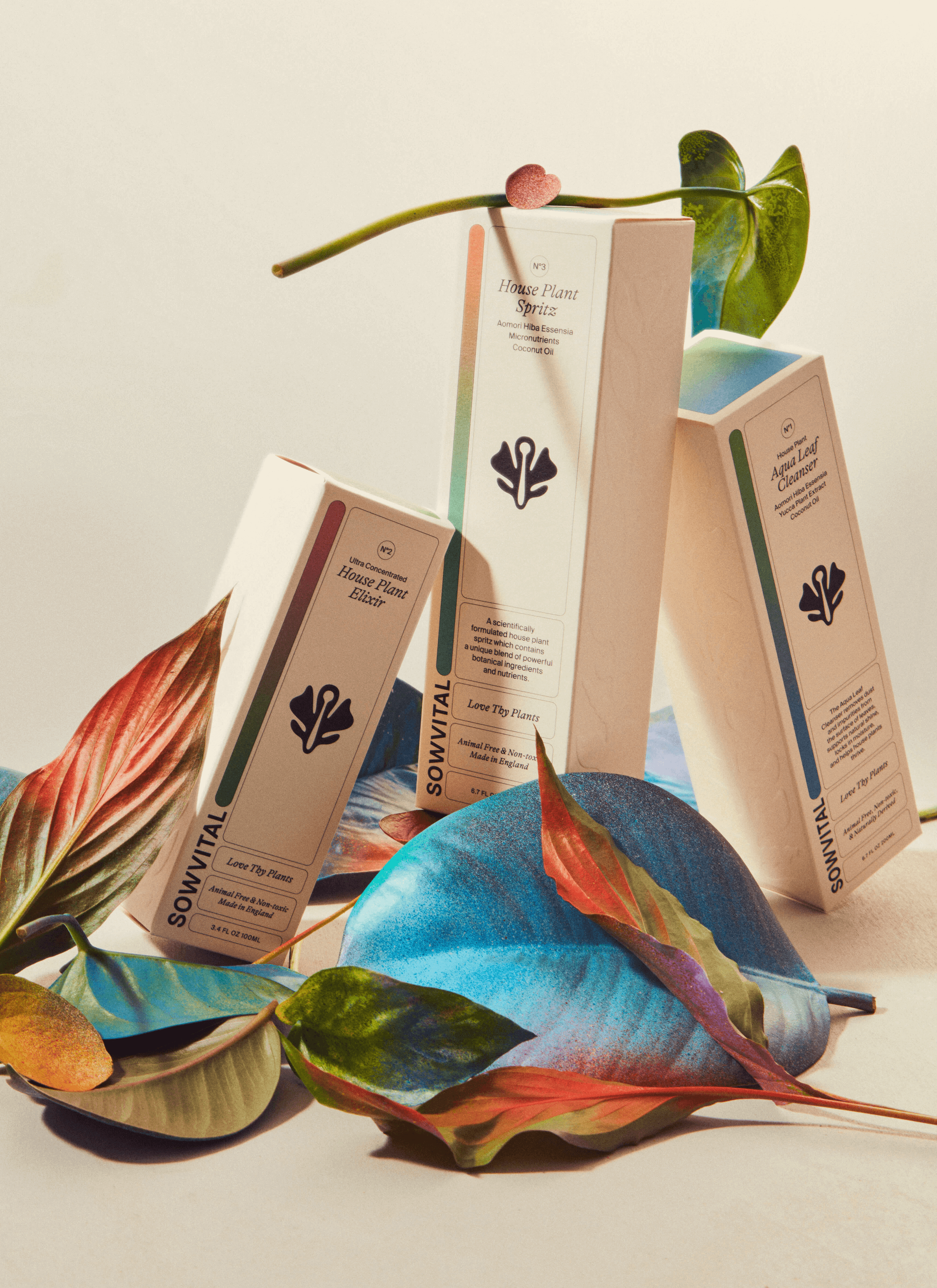 Three of Sowvital house plant products’ packaging with a collection of colourful-loosened leaves around.