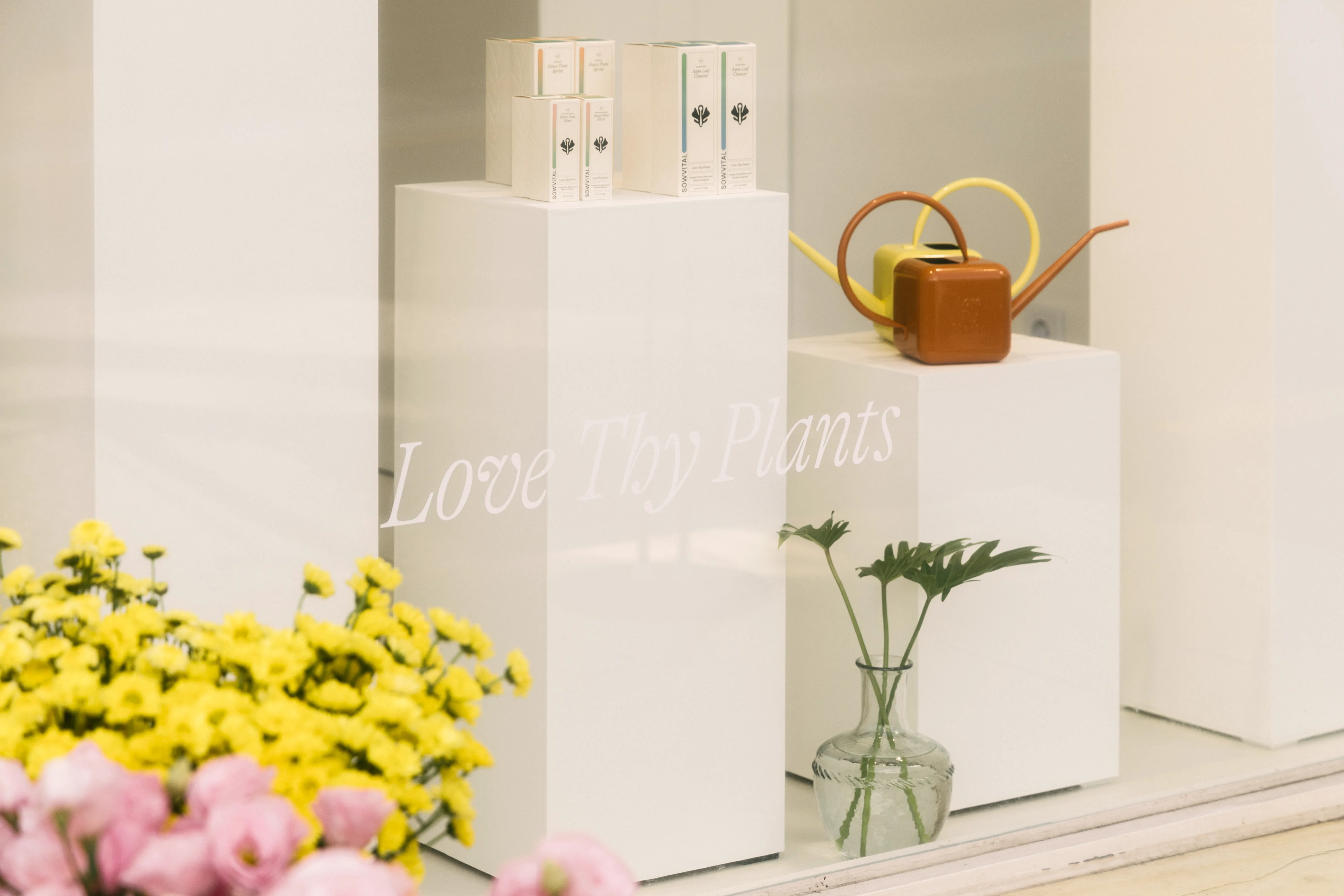 White plinths are seen through a shop window. The plinths have coloured watering cans and boxes of plant fertiliser on them. "Love Thy Plants" is written on the window and there are flowers in the foreground.