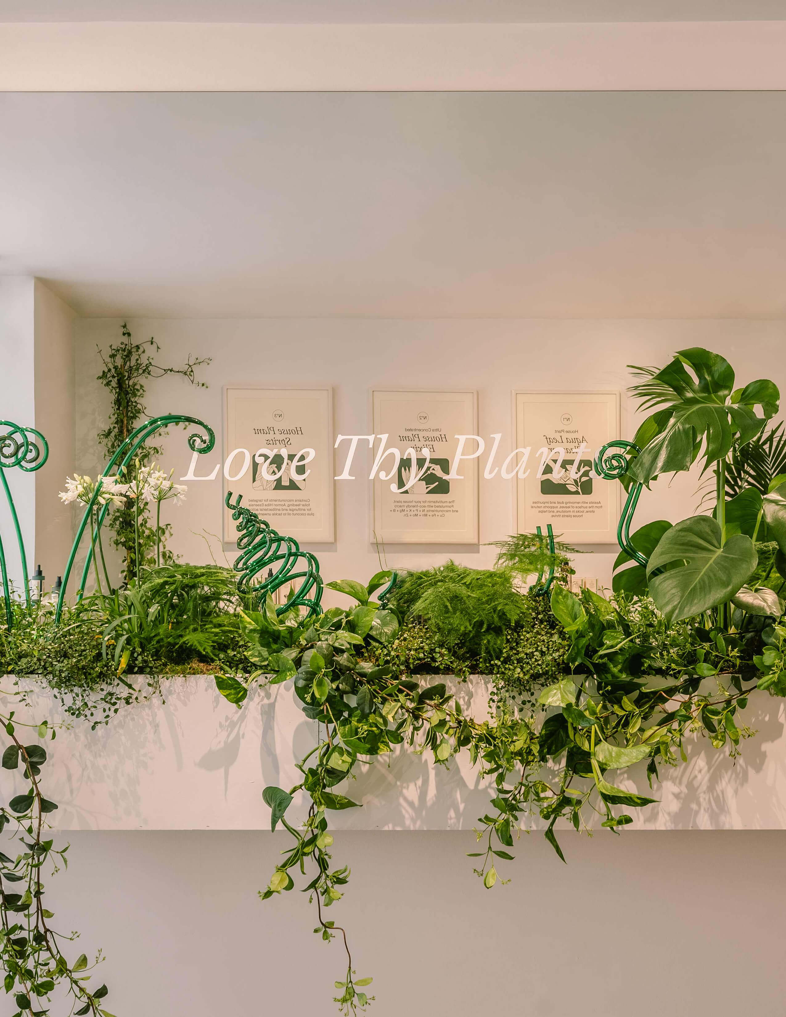 The decoration inside the store with loads of different kinds of plants, the ‘Love Thy Plant’ labelled sticker on the glass and three posters of Sowvital house plant products.