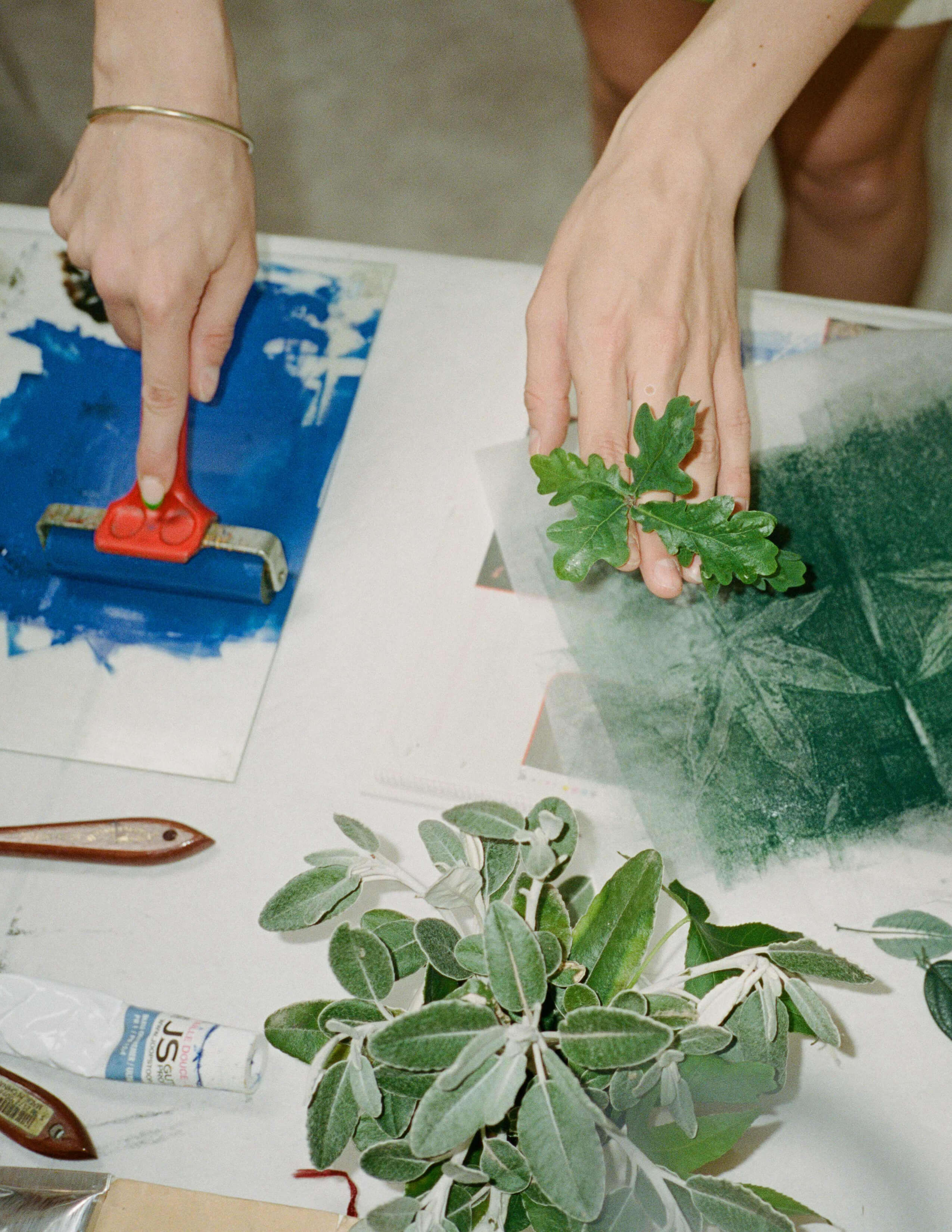 A hand held a roller with blue paint while another hand held a piece of plants with a piece of sheet covered with green paint on the table. And there is the blue paint material, palette knife and a pot of plant.