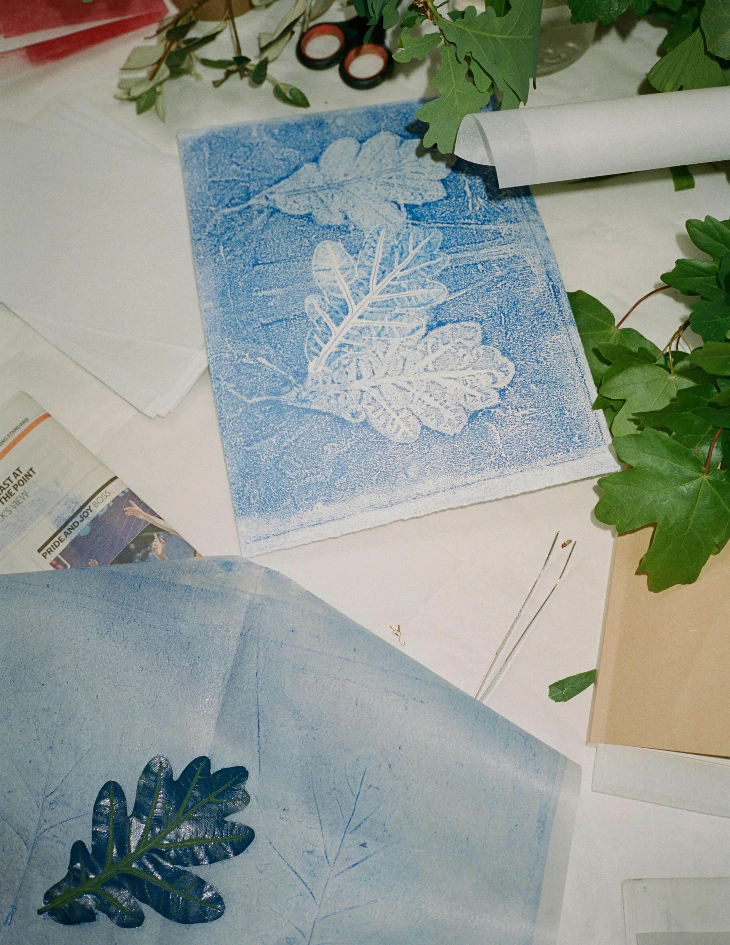 Nature plant printing with blue paint on the paper and there are some plant leaves around on the table.