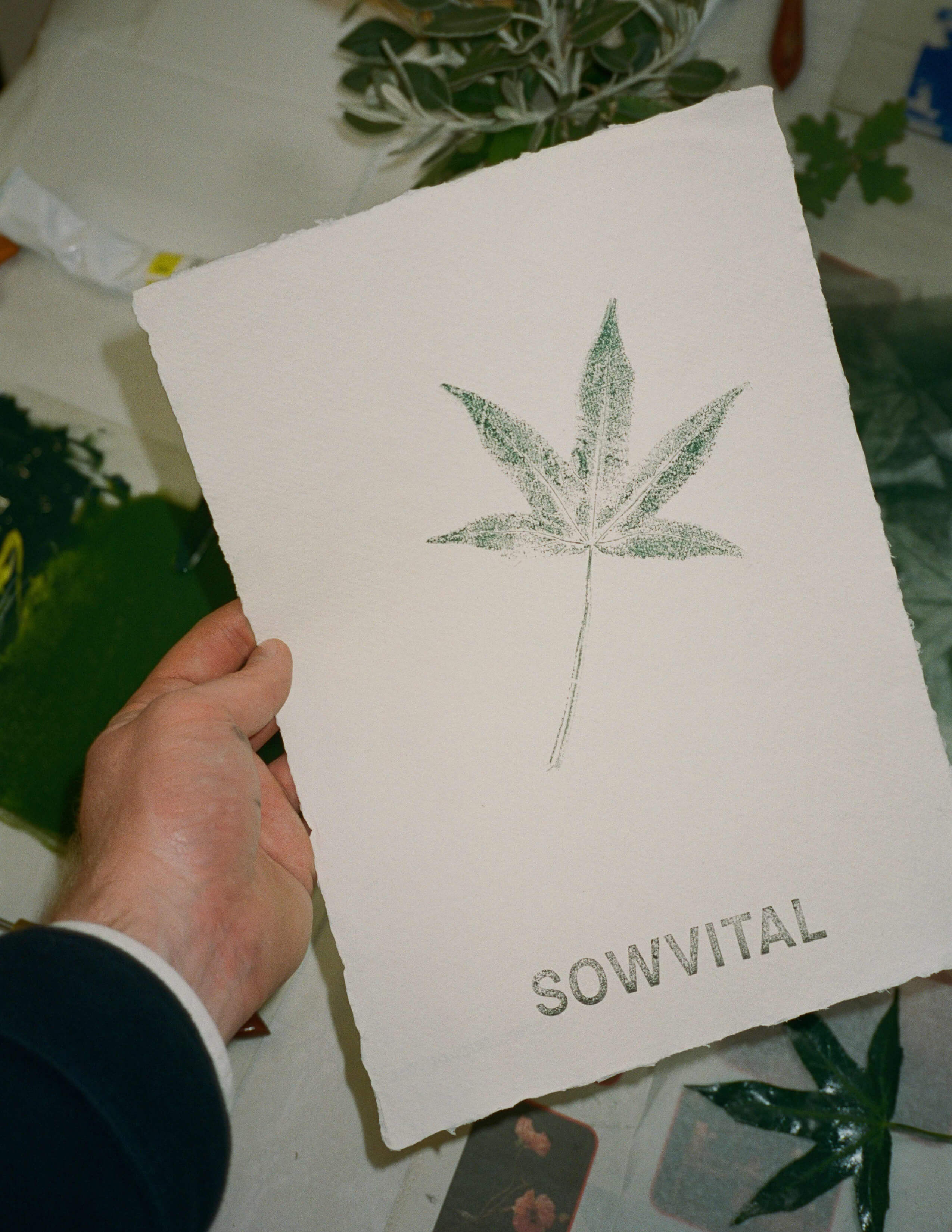 A hand holding a piece of paper with nature plant printing and Sowvital’s brand at the bottom of the paper.