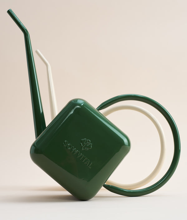 Green watering can with a white background