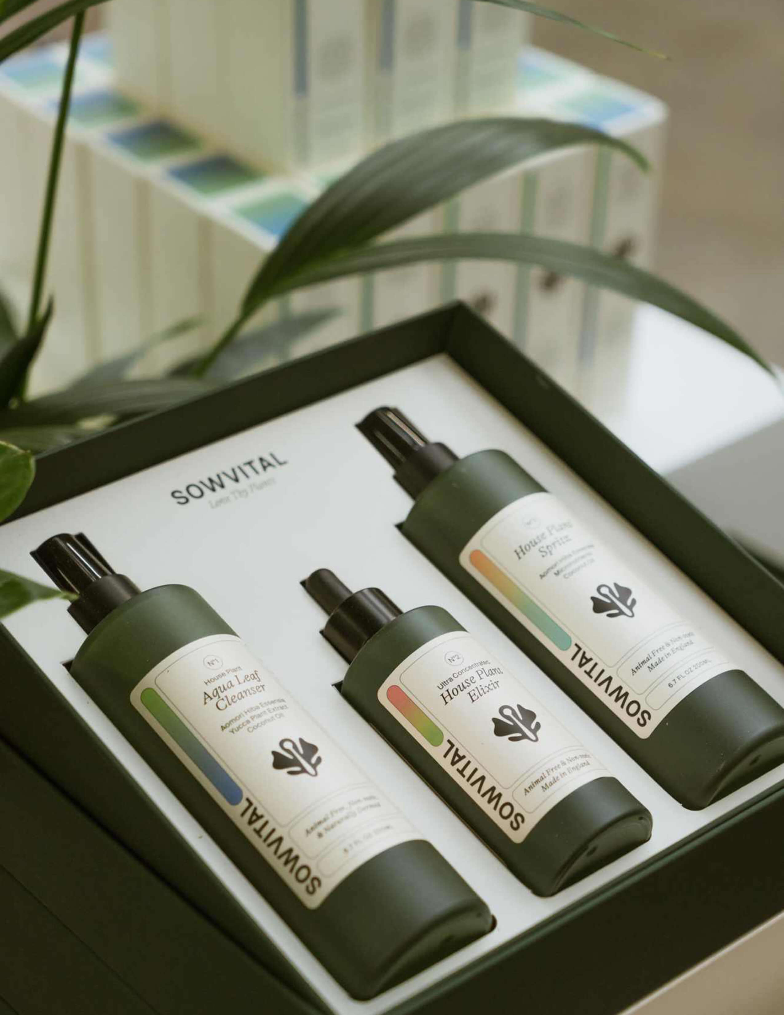 Sowvital’s three-step kit: Aqua Leaf Cleanser, House Plant Elixir, and House Plant Spritz packed in the box.