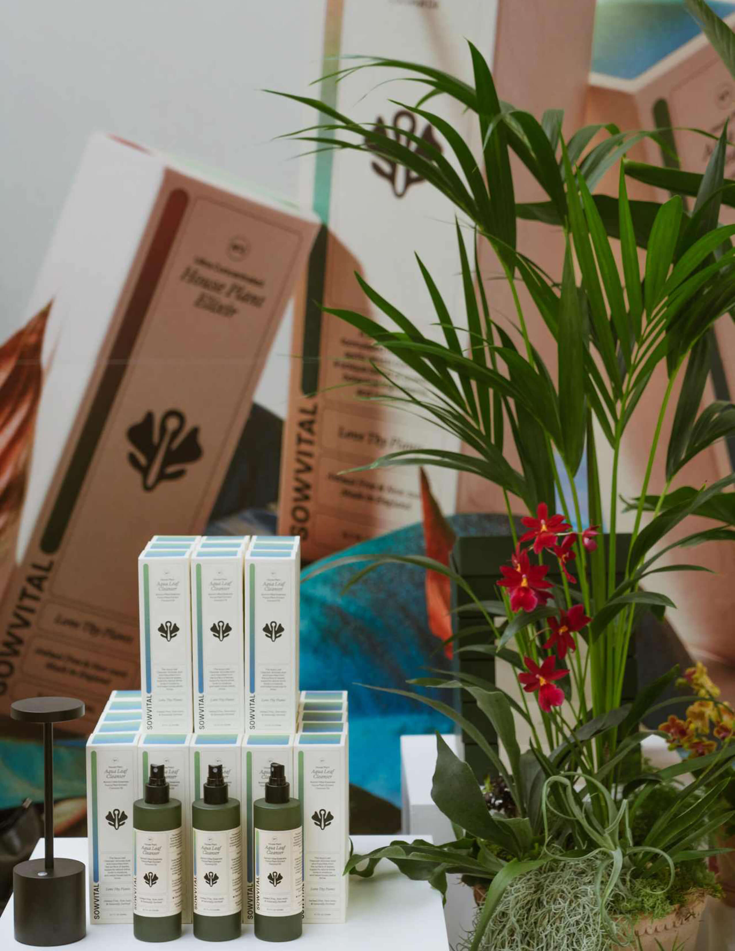 The Sowvital house plant product - Aqua leaf cleanser with packaging boxes next to a big pot of plants that has some red flowers among it and there’s the product campaign posters behind on the wall.