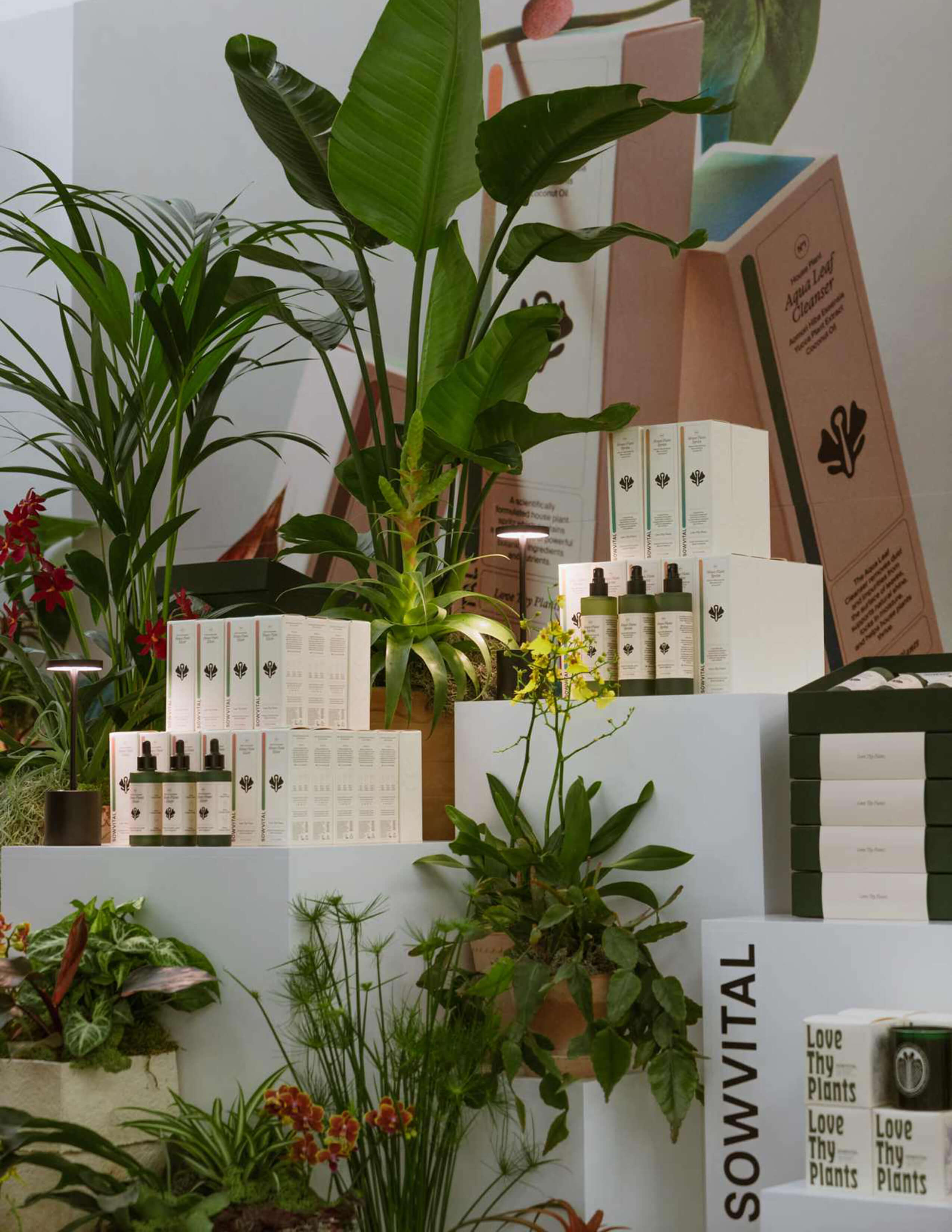 The Sowvital house plant products display an extensive collection of different plants/flowers.