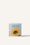 Sowvital's Sunflower Seed Grow Kit. A square fedrigoni paper box with a playful illustration of sunflowers on the front. The background is beige.