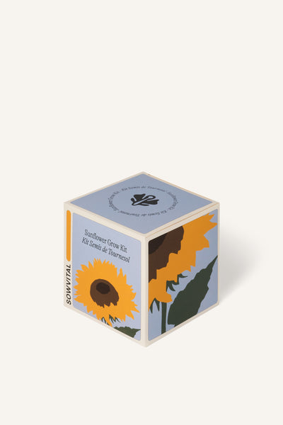 Sowvital's Sunflower Seed Grow Kit from a corner angle. A square fedrigoni paper box with a playful illustration of sunflowers on the front and sides. The background is beige.