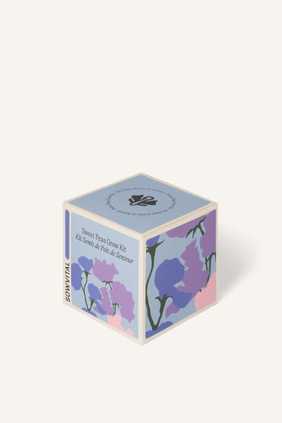 Sowvital's Sweet Peas Seed Grow Kit from a corner angle. A square fedrigoni paper box with a playful illustration of sweet peas on the front and sides. The background is beige.