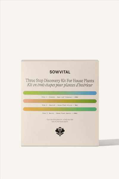 A square fedrigoni paper box, with three colourful gradient bars running horizontally across the front, representing the 3 products contained within the Three Step Discovery Kit For House Plants. The Aqua Leaf Cleanser, House Plant Elixir, and House Plant Spritz.