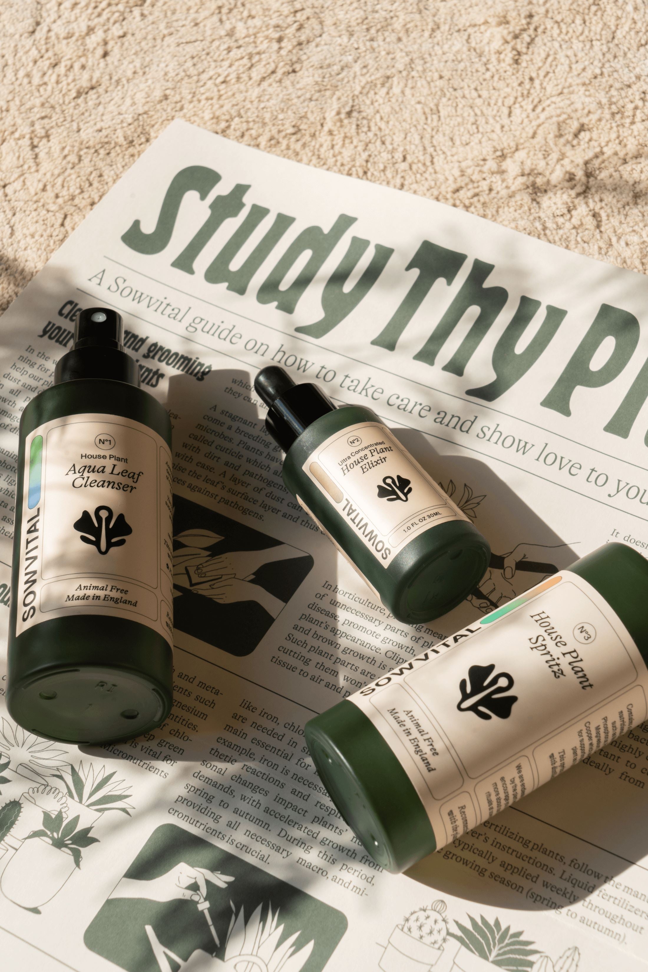 Three green glass bottles sit in dappled sunlight on a beige carpet and a poster with plant care tips on it. The bottles are the Aqua Leaf Cleanser, House Plant Elixir, and House Plant Spritz.