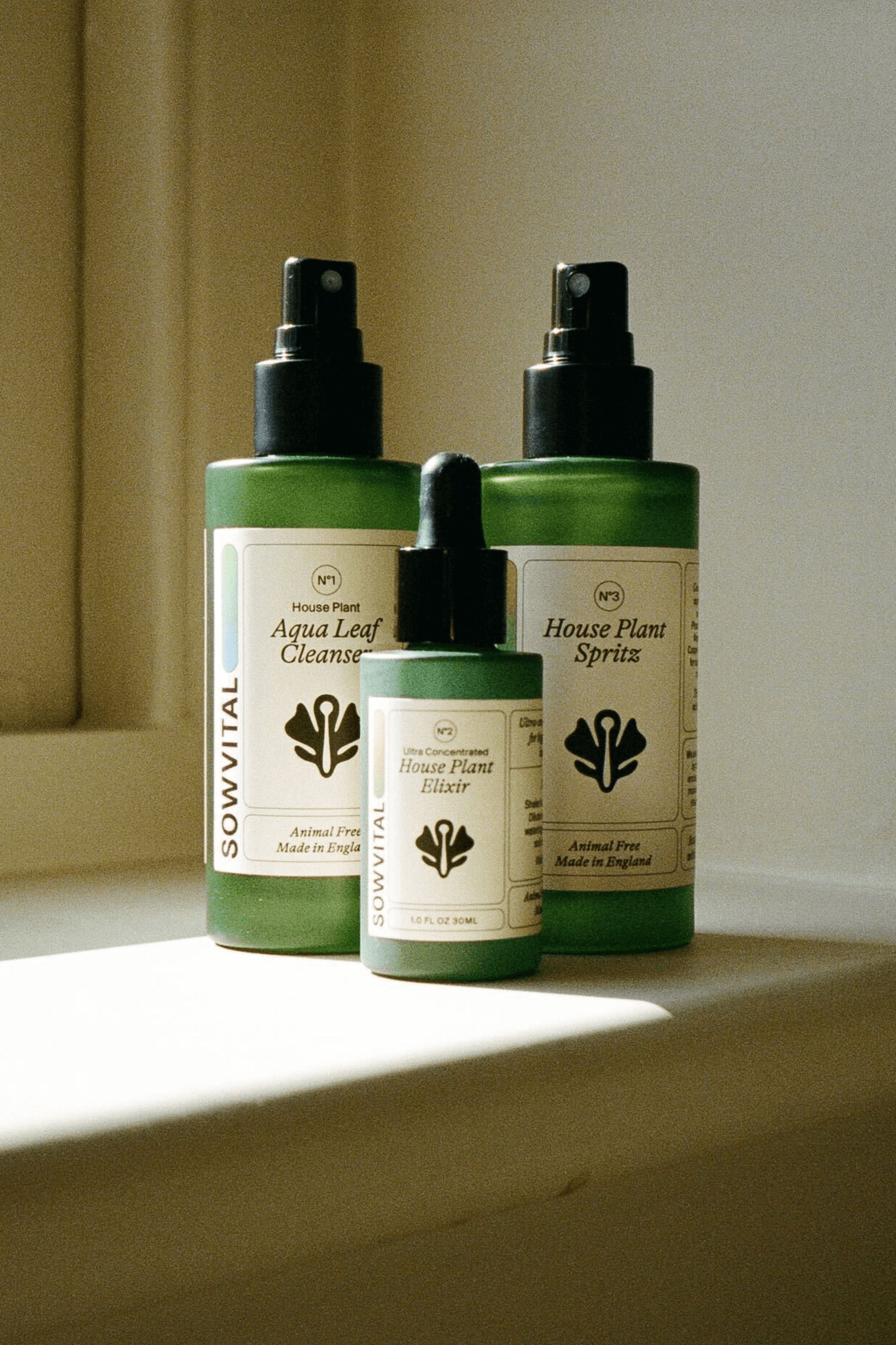 Three bottles sat in partial direct sunlight, two 100ml in size and one 30ml in size. They are green glass with beige labels. The Aqua Leaf Cleanser, House Plant Elixir, and House Plant Spritz.