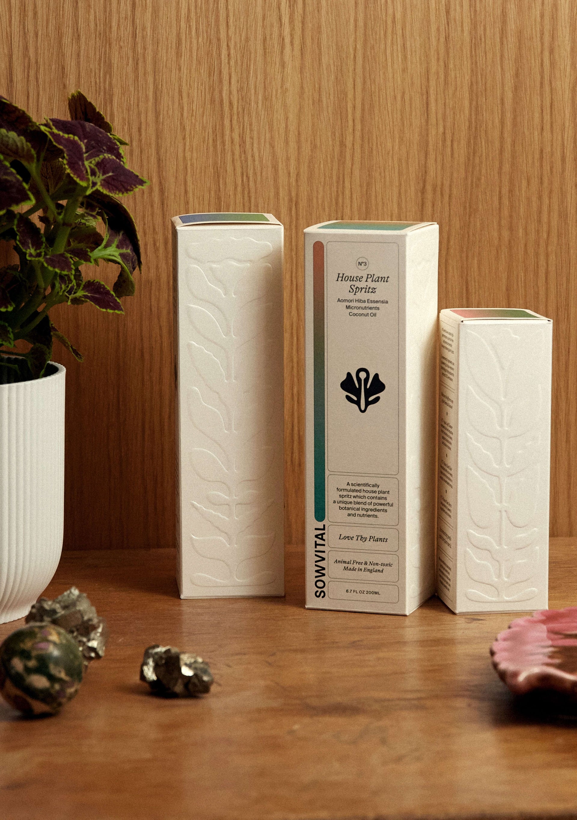 Three tall rectangular beige fedrigoni paper boxes for houseplant fertilisers sit on a wooden surface next to a plant. The paper is embossed with plant-like shapes, and have soft colour gradients on their lids.