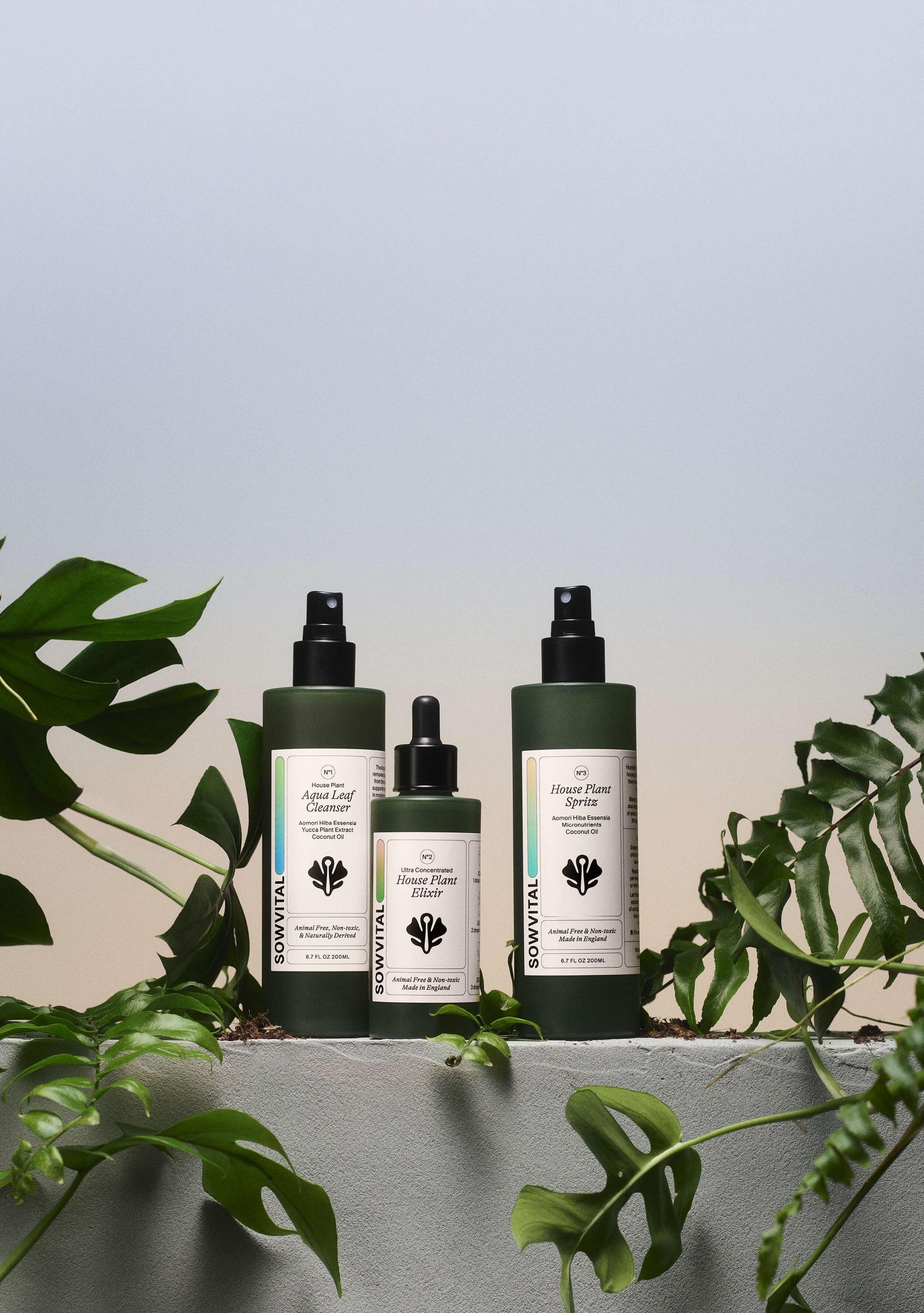 Three bottles of houseplant fertiliser sit amongst lush greenery on a stone ledge. The background is a soft gradient. The bottles are green glass with beige labels. The Aqua Leaf Cleanser, House Plant Elixir, and House Plant Spritz