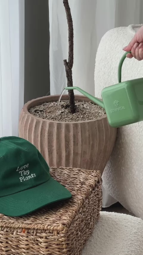 A fern green watering can is used to water a plant.