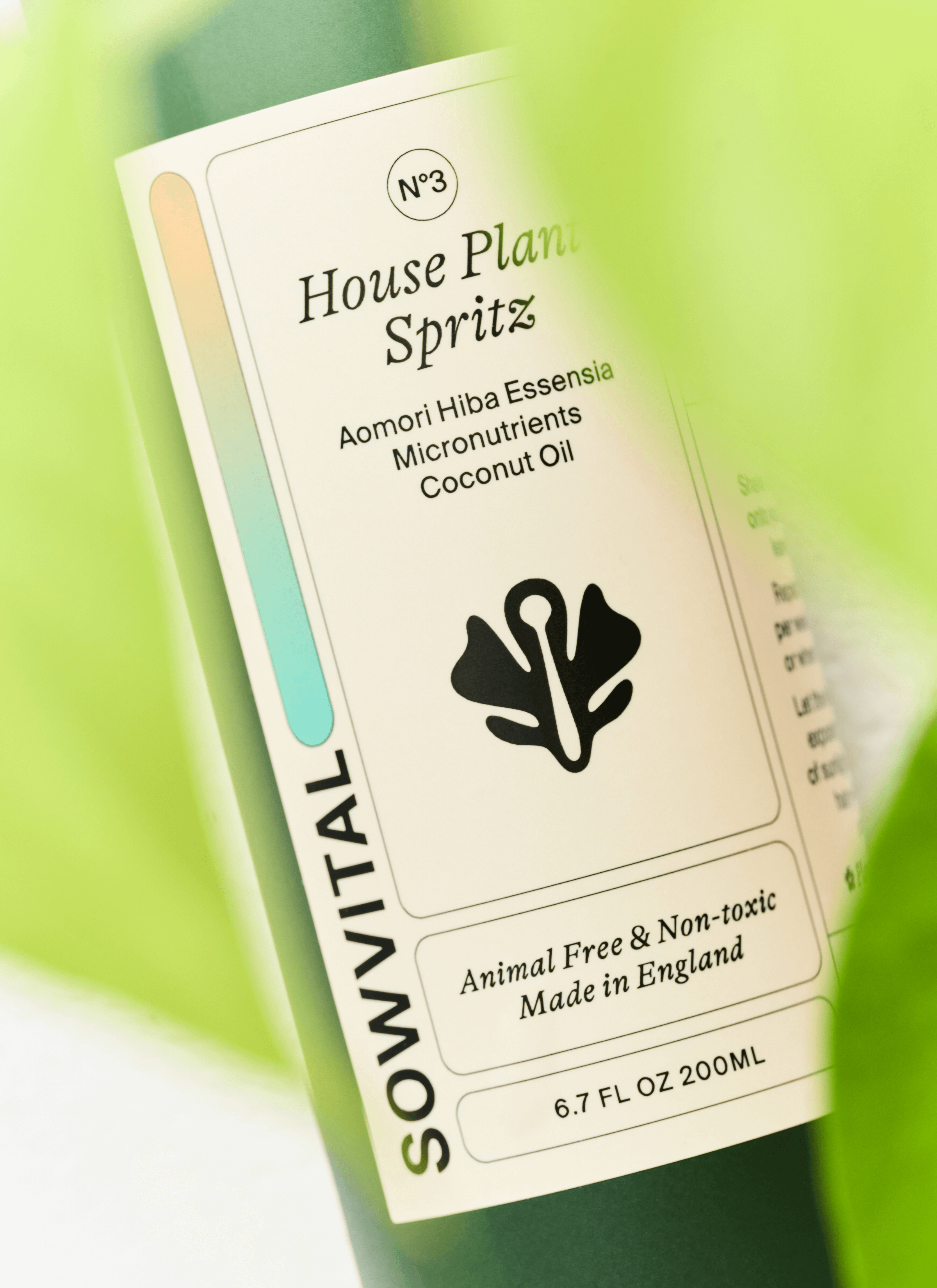 Sowvital house plant product - House plant spritz photoshoot.
