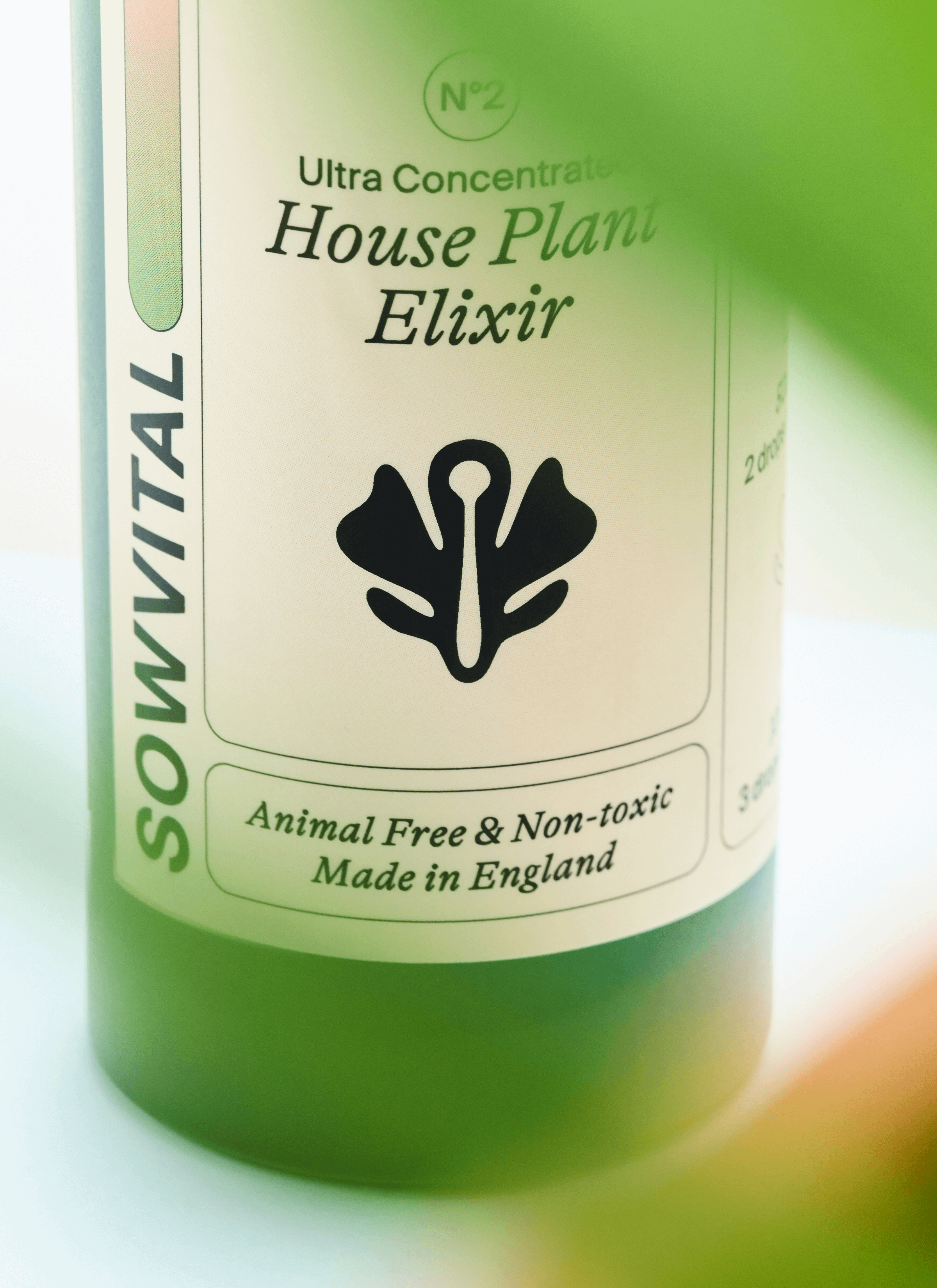 Sowvital house plant product - House plant elixir photoshoot.