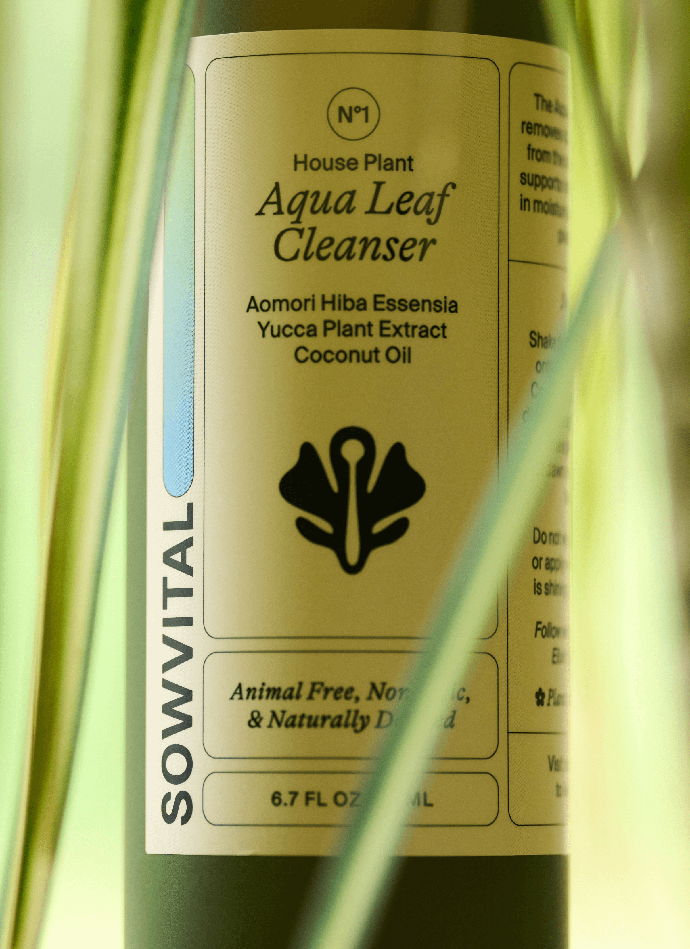 Sowvital product - Aqua leaf cleanser photoshoot with some leaves.