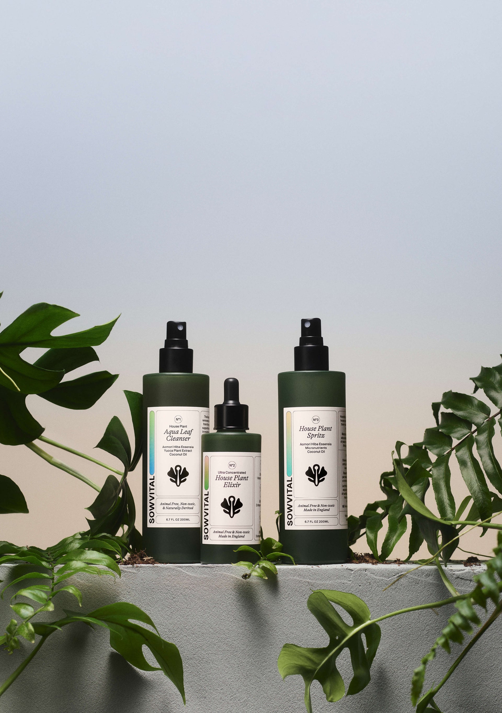 Sowvital three step kit, Aqua leaf cleanser, House plant elixir and House plant spritz, surrounded by different kinds of plants.